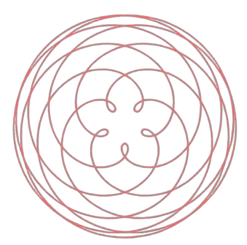 Rose de Vénus